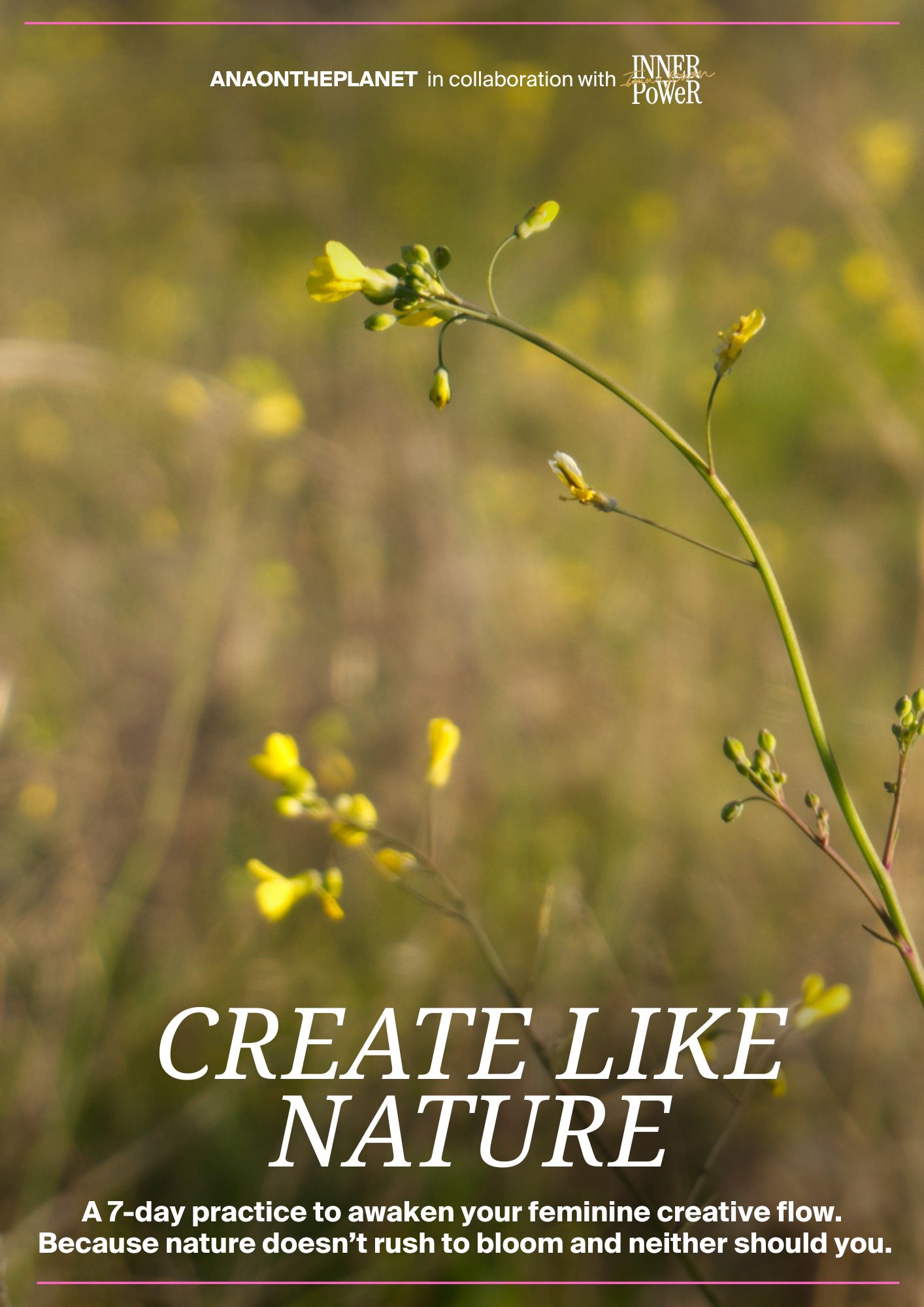 ANAONTHEPLANETwithINNERPOWER-CreateLikeNature-Cover ANAONTHEPLANETwithINNERPOWER-CreateLikeNature-Cover